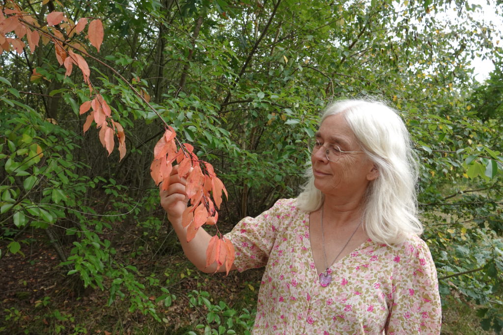 Brigitte van Boost of Energy tijdens een inzichtwandeling in de natuur bij de Hatertse Vennen